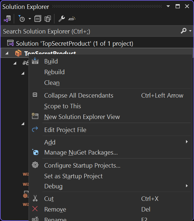 Visual Studio Solution Explorer with context menu showing build-related commands
